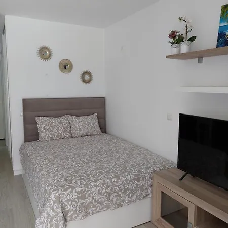 Minerva Apartment *