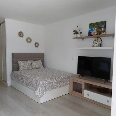 Apartment Minerva *
